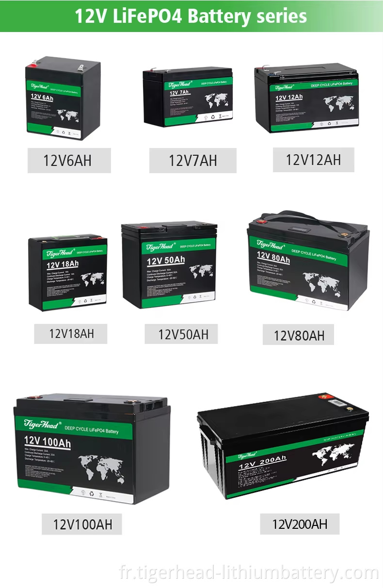 TH-12LF-100-detail-2